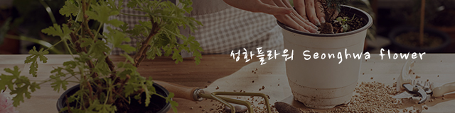 성화플라워_공통상단