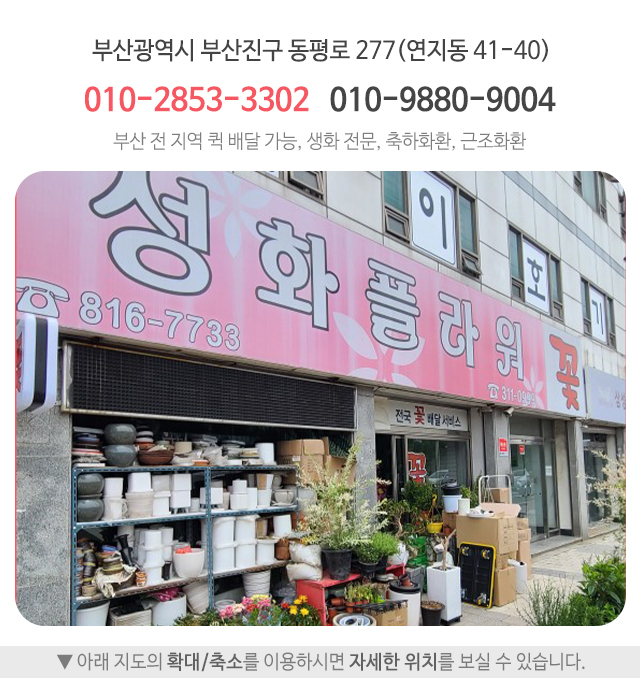 성화플라워_오시는길_상단주소
